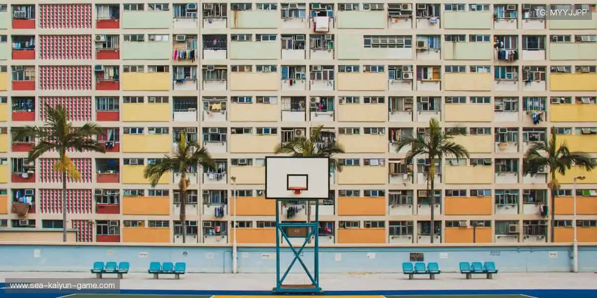 潮流运动风，你值得拥有！👟